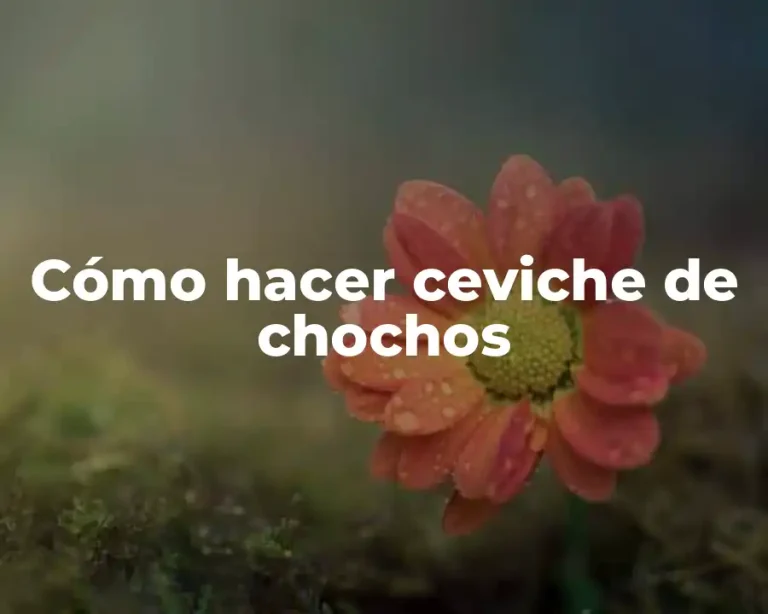 Cómo hacer ceviche de chochos