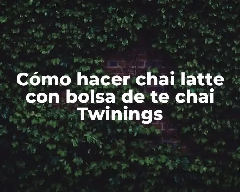Cómo hacer chai latte con bolsa de te chai Twinings