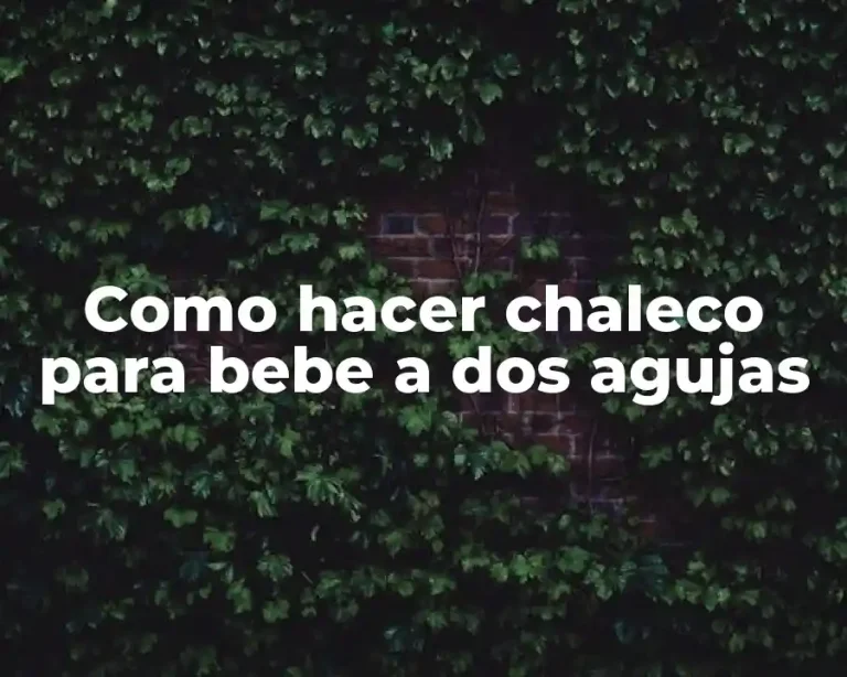 Como hacer chaleco para bebe a dos agujas