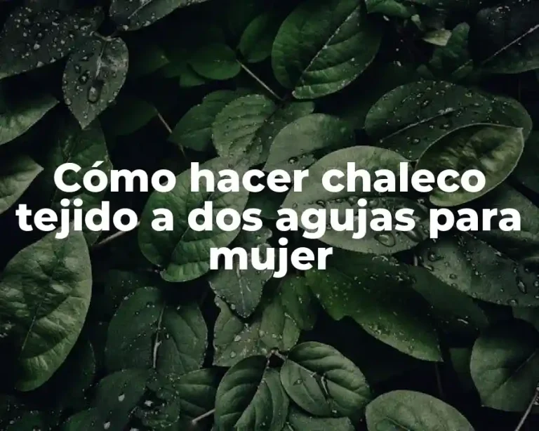 Cómo hacer chaleco tejido a dos agujas para mujer