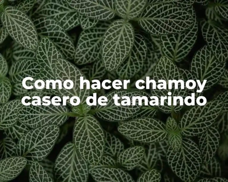 Como hacer chamoy casero de tamarindo