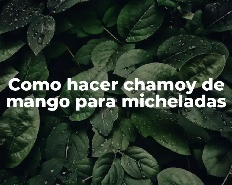 Como hacer chamoy de mango para micheladas