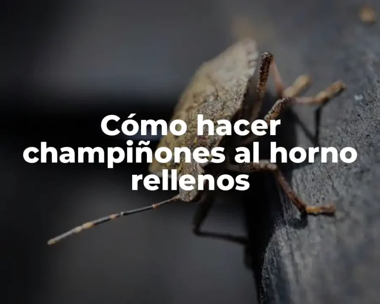 Cómo hacer champiñones al horno rellenos