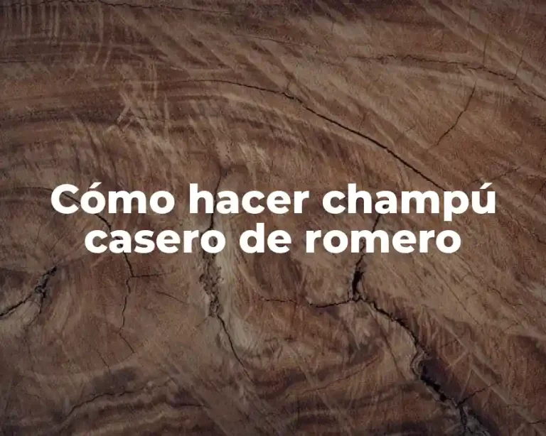 Cómo hacer champú casero de romero