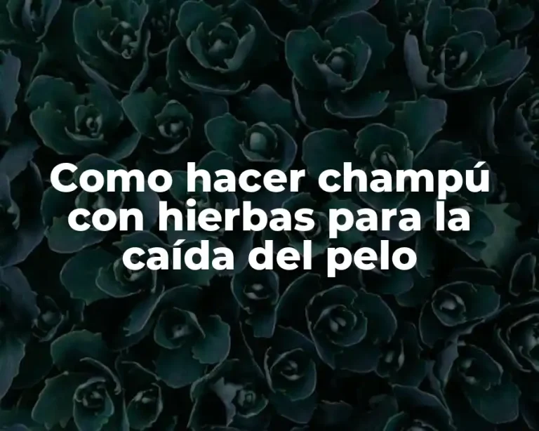 Como hacer champú con hierbas para la caída del pelo