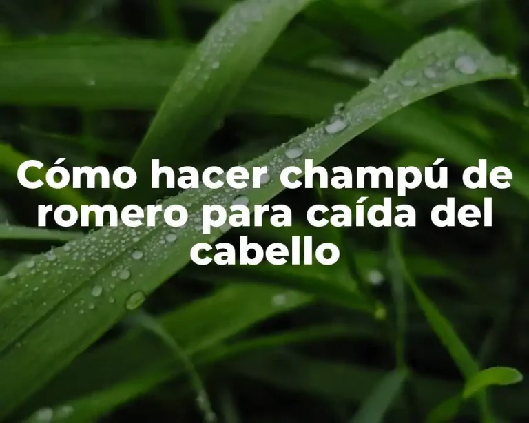 Cómo hacer champú de romero para caída del cabello