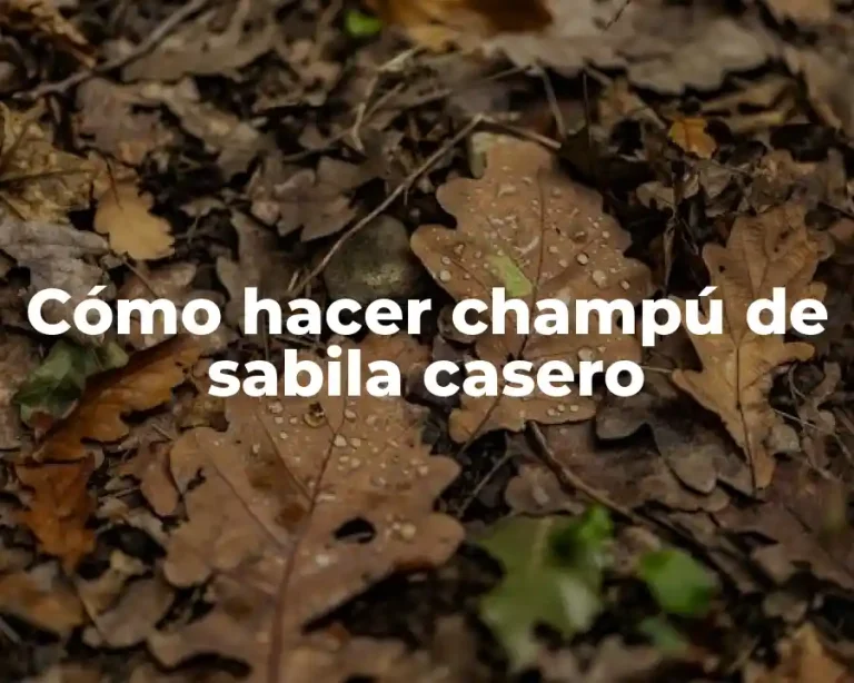 Cómo hacer champú de sabila casero
