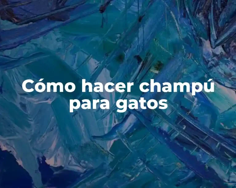 Cómo hacer champú para gatos