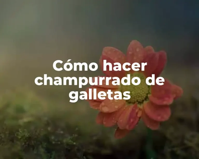 Cómo hacer champurrado de galletas