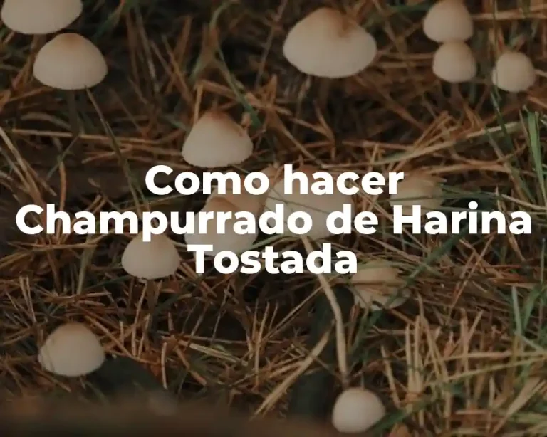 Como hacer Champurrado de Harina Tostada