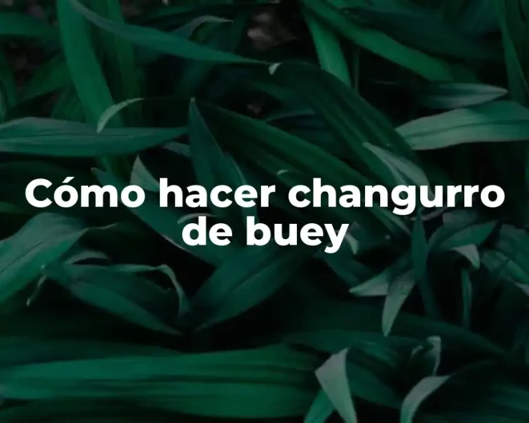 Cómo hacer changurro de buey