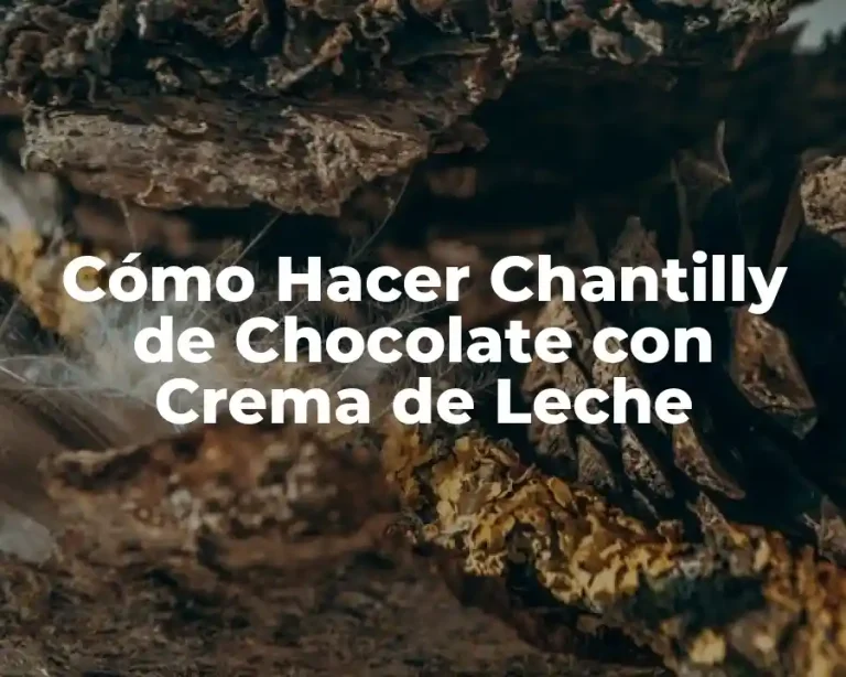 Cómo Hacer Chantilly de Chocolate con Crema de Leche