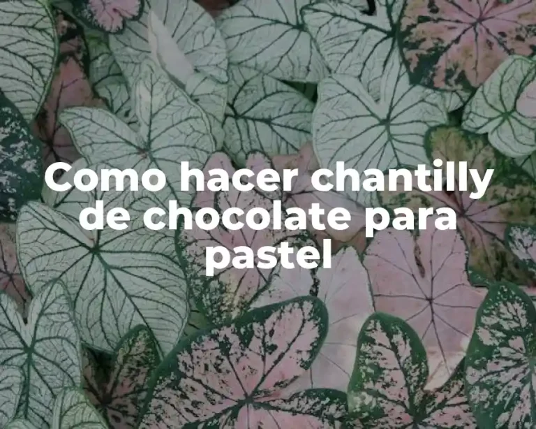 Como hacer chantilly de chocolate para pastel