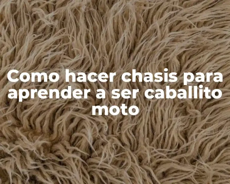 Como hacer chasis para aprender a ser caballito moto