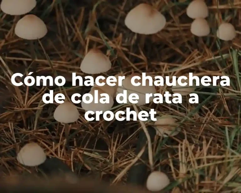 Cómo hacer chauchera de cola de rata a crochet
