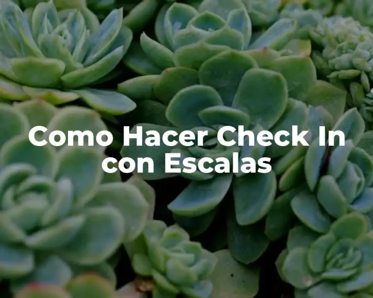 Como Hacer Check In con Escalas