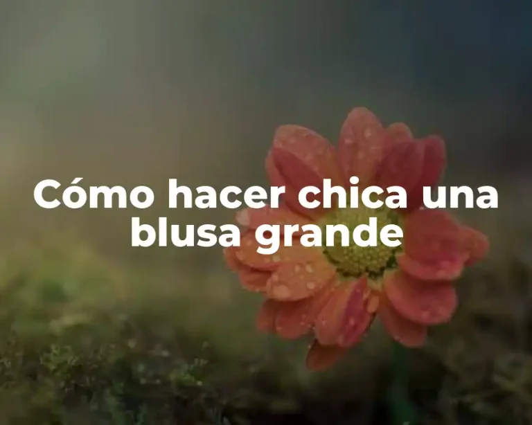 Cómo hacer chica una blusa grande