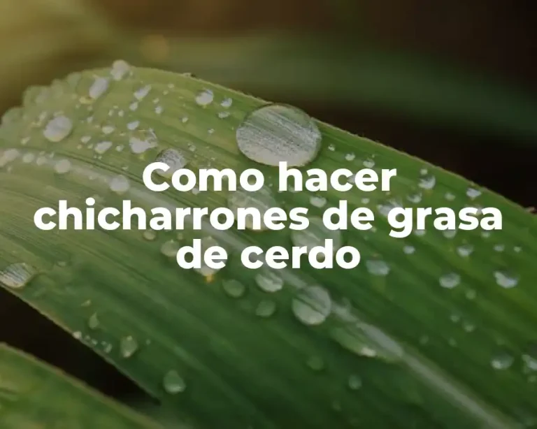 Como hacer chicharrones de grasa de cerdo