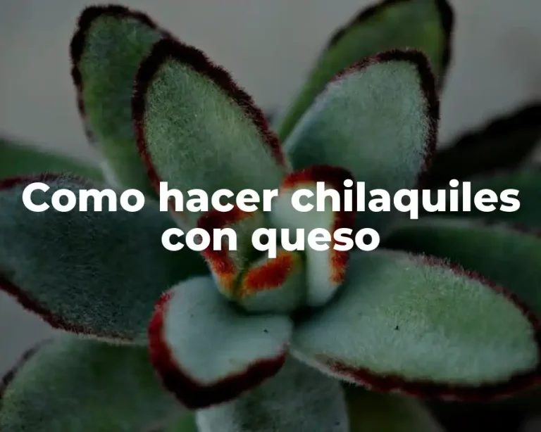 Como hacer chilaquiles con queso