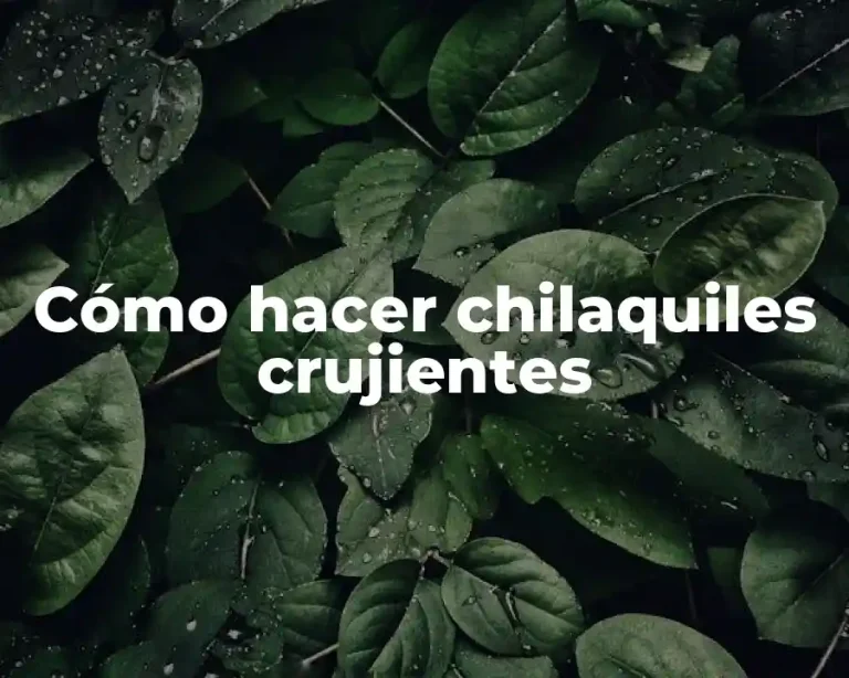 Cómo hacer chilaquiles crujientes