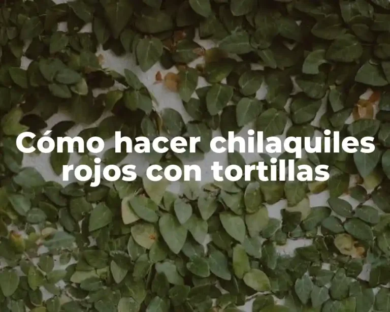 Cómo hacer chilaquiles rojos con tortillas