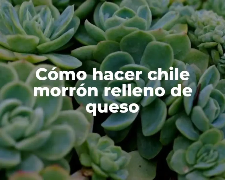 Cómo hacer chile morrón relleno de queso