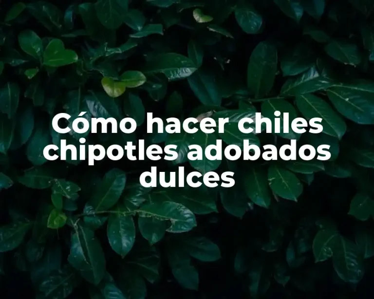 Cómo hacer chiles chipotles adobados dulces