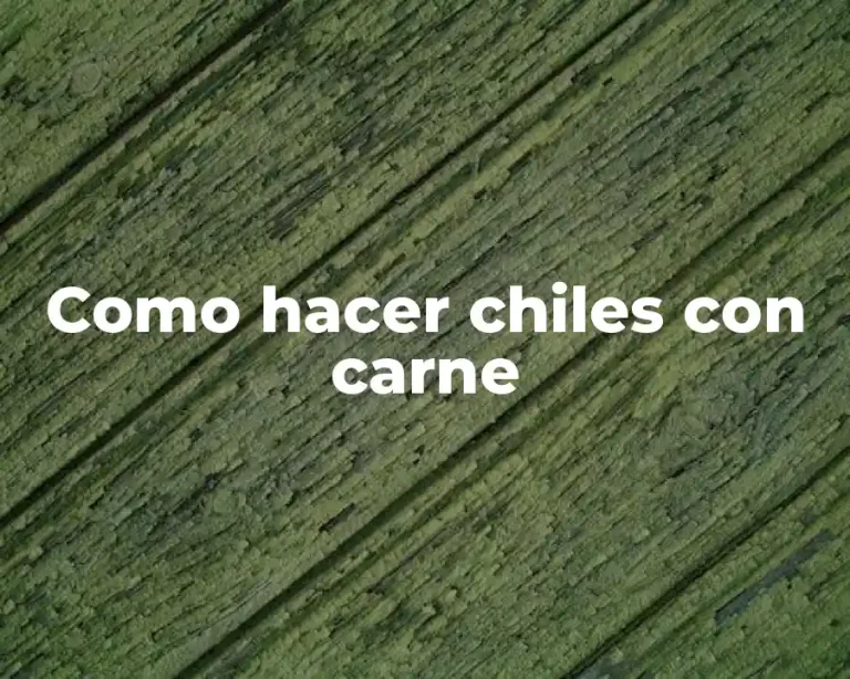 Como hacer chiles con carne