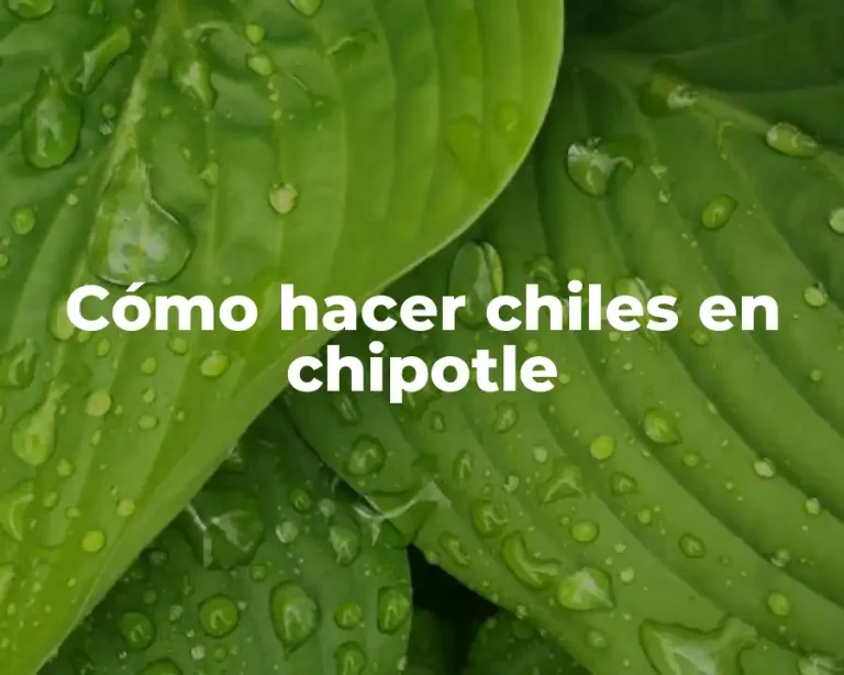 Cómo hacer chiles en chipotle