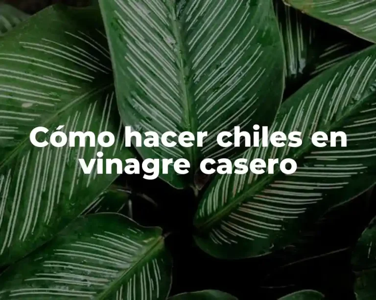 Cómo hacer chiles en vinagre casero