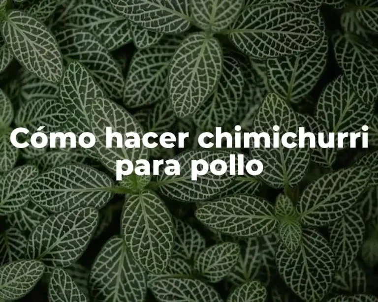 Cómo hacer chimichurri para pollo