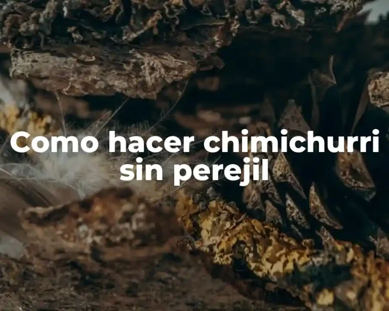 Como hacer chimichurri sin perejil