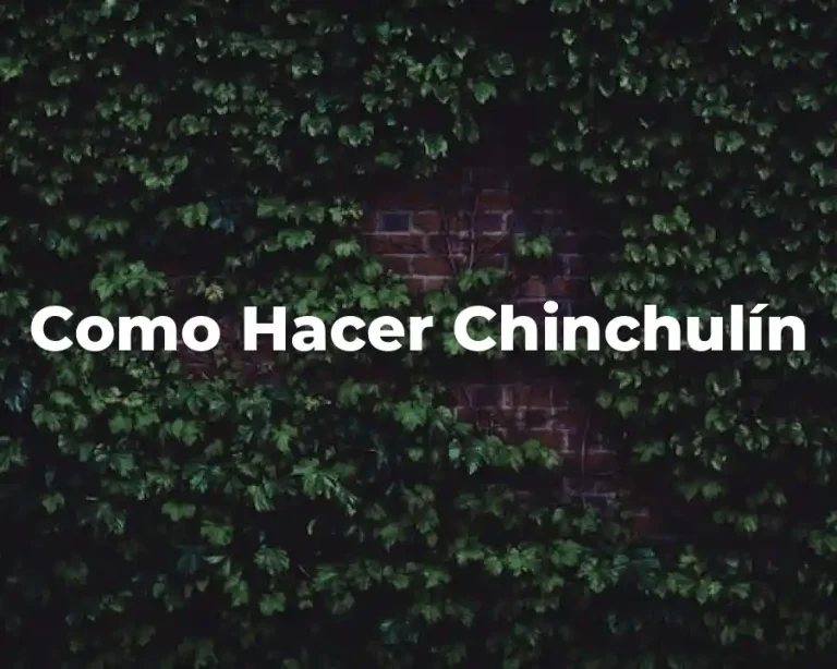 Como Hacer Chinchulín