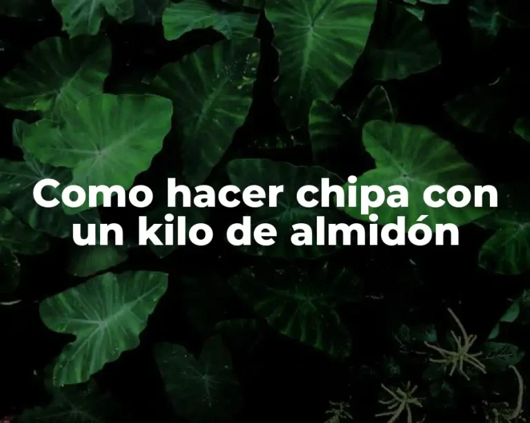 Como hacer chipa con un kilo de almidón