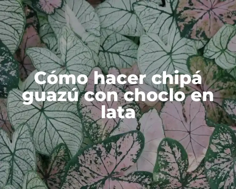 Cómo hacer chipá guazú con choclo en lata