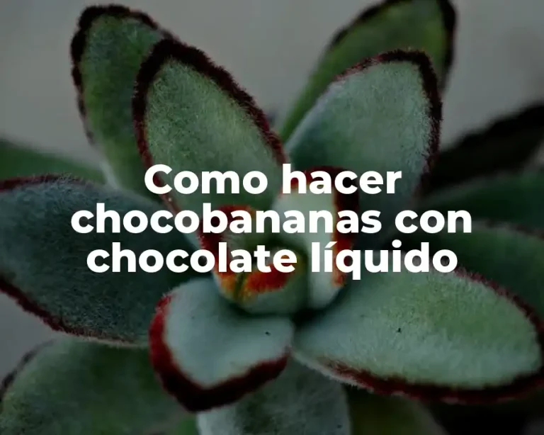 Como hacer chocobananas con chocolate líquido