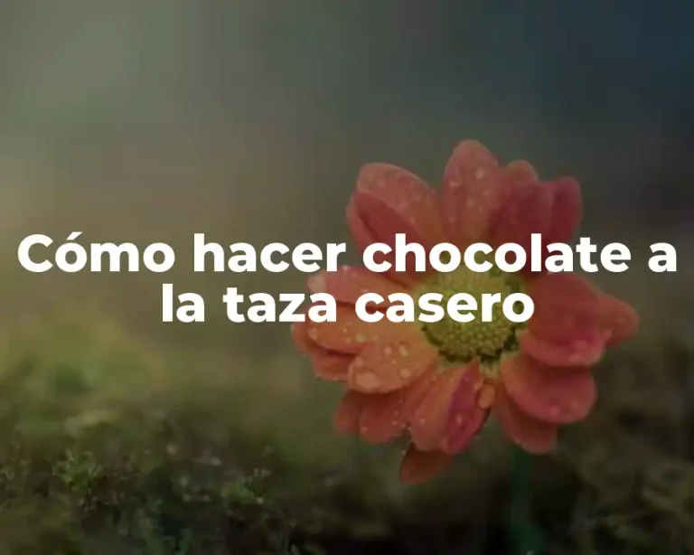 Cómo hacer chocolate a la taza casero