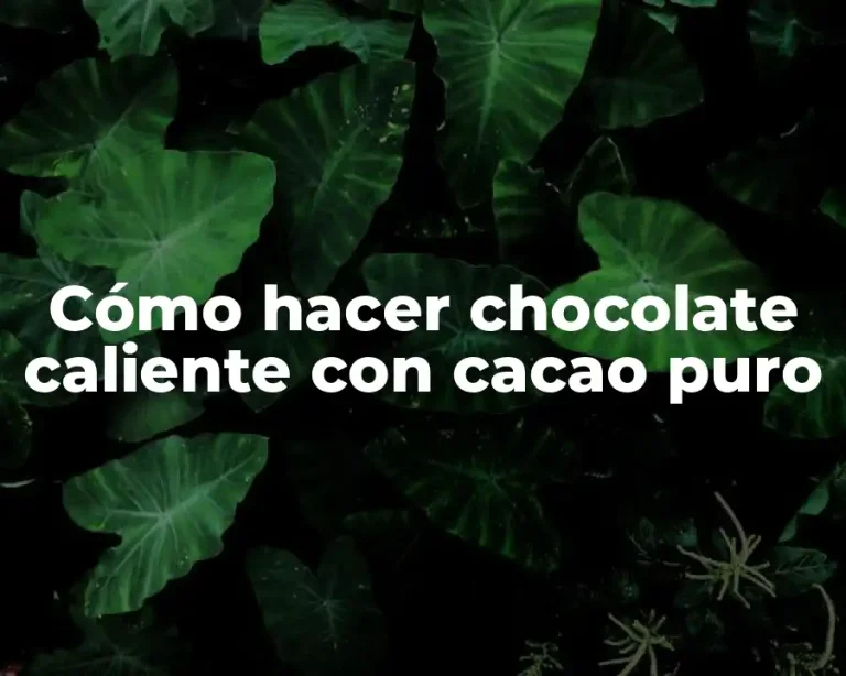 Cómo hacer chocolate caliente con cacao puro