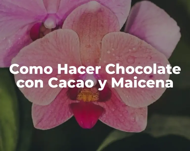 Como Hacer Chocolate con Cacao y Maicena
