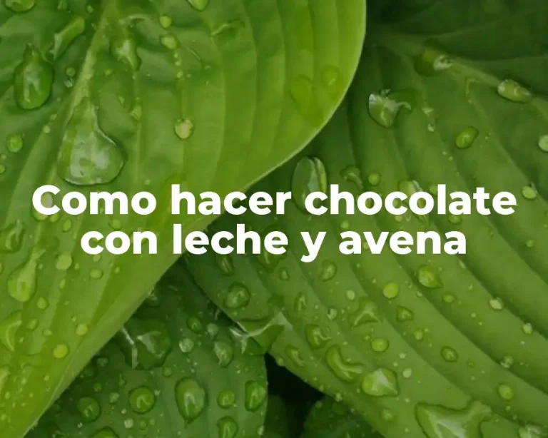 Como hacer chocolate con leche y avena