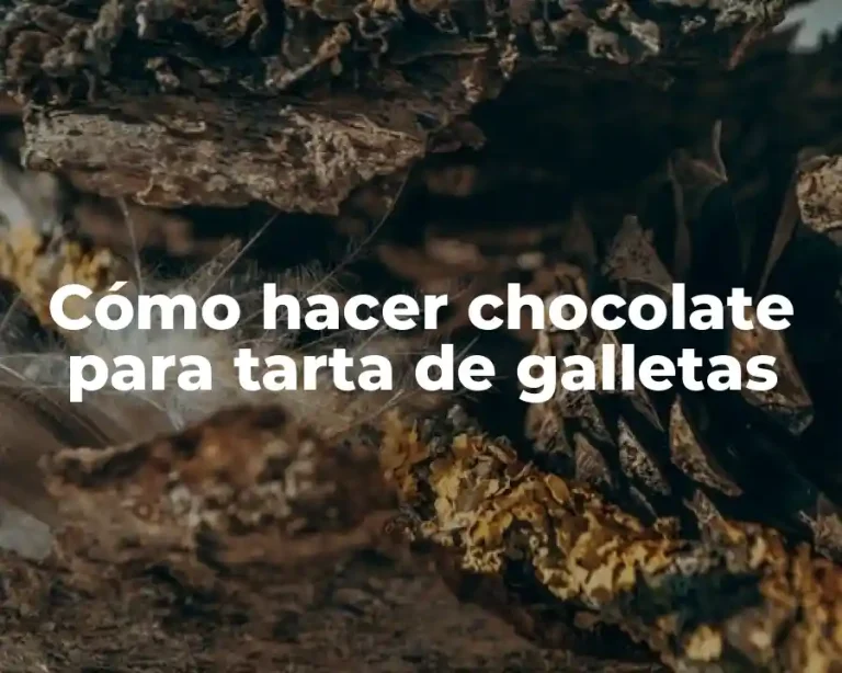 Cómo hacer chocolate para tarta de galletas