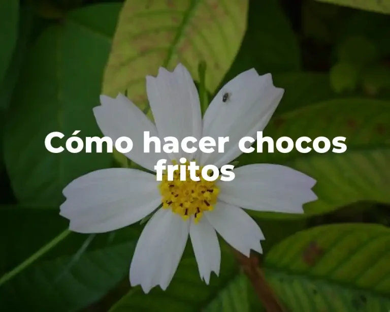 Cómo hacer chocos fritos
