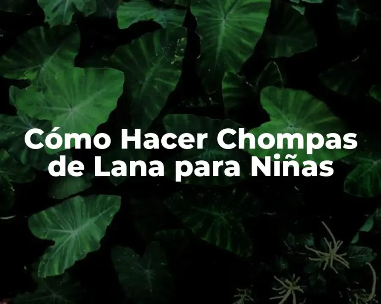 Cómo Hacer Chompas de Lana para Niñas