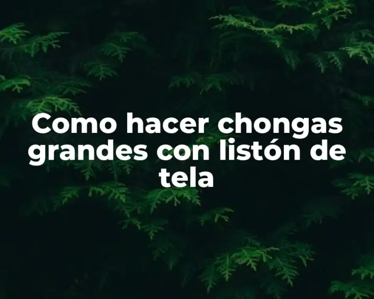 Como hacer chongas grandes con listón de tela