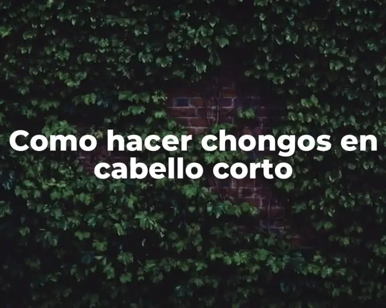 Como hacer chongos en cabello corto