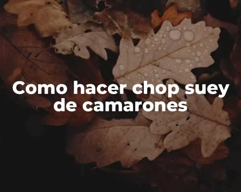 Como hacer chop suey de camarones