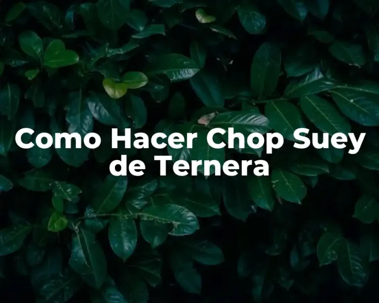 Como Hacer Chop Suey de Ternera