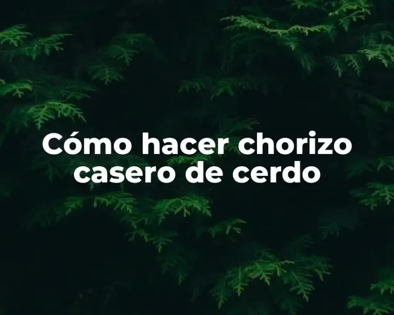 Cómo hacer chorizo casero de cerdo