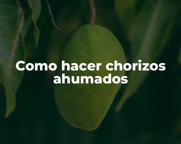 Como hacer chorizos ahumados