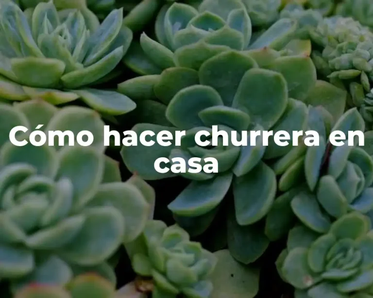 Cómo hacer churrera en casa